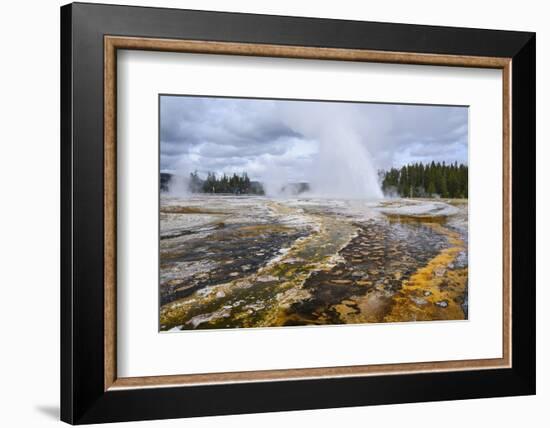 Daisy Geyser, Upper Geyser Basin, Yellowstone National Park, Wyoming, United States of America-Gary Cook-Framed Photographic Print