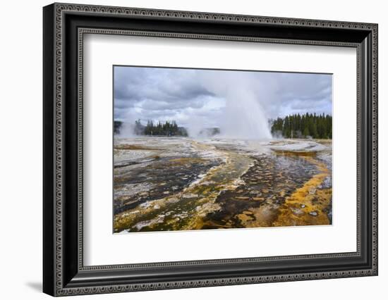 Daisy Geyser, Upper Geyser Basin, Yellowstone National Park, Wyoming, United States of America-Gary Cook-Framed Photographic Print