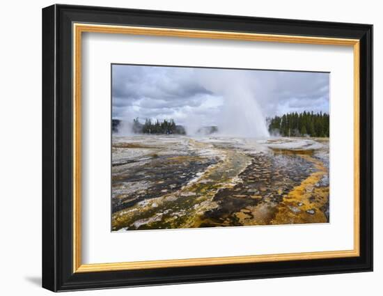 Daisy Geyser, Upper Geyser Basin, Yellowstone National Park, Wyoming, United States of America-Gary Cook-Framed Photographic Print