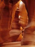 Slot Canyons of the Colorado Plateau, Upper Antelope Canyon, Arizona, USA-Daisy Gilardini-Photographic Print