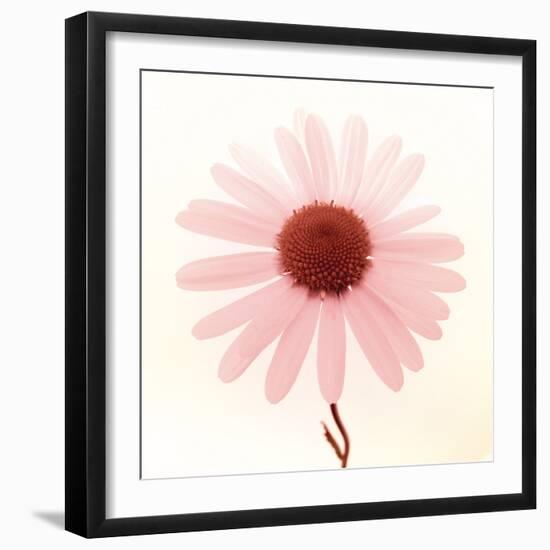 Daisy I-Katja Marzahn-Framed Giclee Print