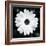 Daisy Light I-Joseph Eta-Framed Giclee Print