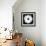 Daisy Light I-Joseph Eta-Framed Giclee Print displayed on a wall