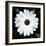 Daisy Light I-Joseph Eta-Framed Giclee Print