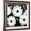 Daisy Light Ii-Joseph Eta-Framed Giclee Print