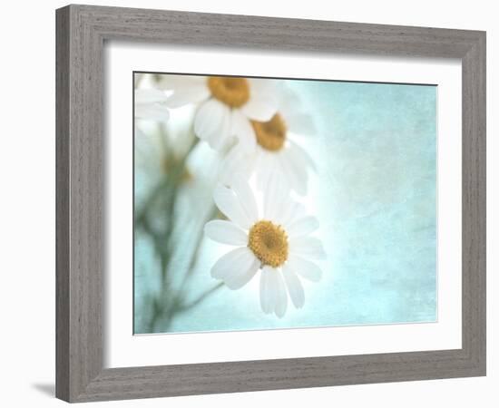 Daisy Love I-Judy Stalus-Framed Photographic Print