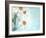 Daisy Love I-Judy Stalus-Framed Photographic Print