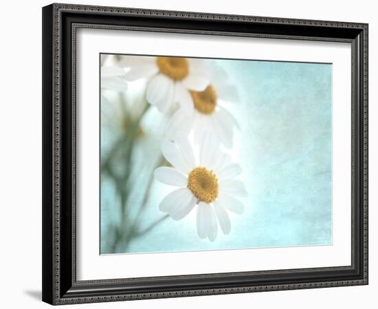 Daisy Love I-Judy Stalus-Framed Photographic Print