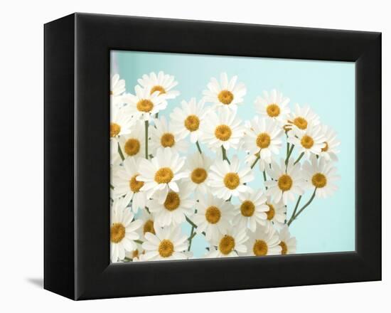 Daisy Love II-Judy Stalus-Framed Premier Image Canvas