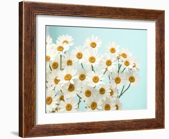 Daisy Love II-Judy Stalus-Framed Photographic Print