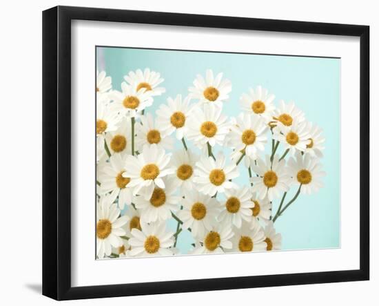 Daisy Love II-Judy Stalus-Framed Photographic Print