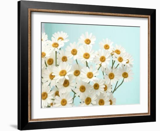 Daisy Love II-Judy Stalus-Framed Photographic Print