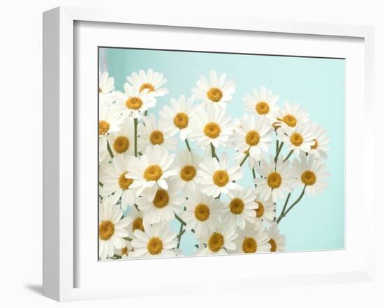 Daisy Love II-Judy Stalus-Framed Photographic Print