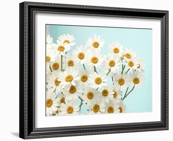 Daisy Love II-Judy Stalus-Framed Photographic Print