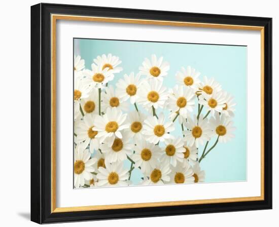 Daisy Love II-Judy Stalus-Framed Photographic Print