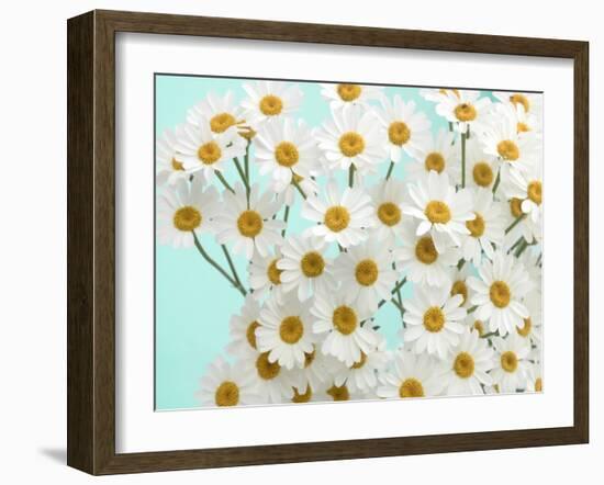 Daisy Love III-Judy Stalus-Framed Photographic Print