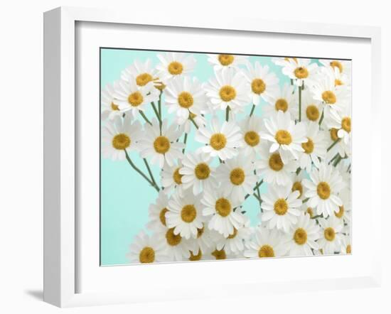 Daisy Love III-Judy Stalus-Framed Photographic Print