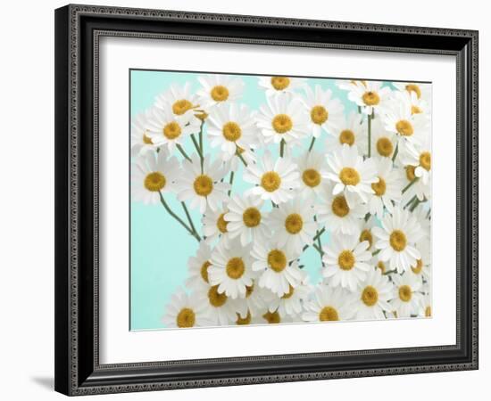 Daisy Love III-Judy Stalus-Framed Photographic Print