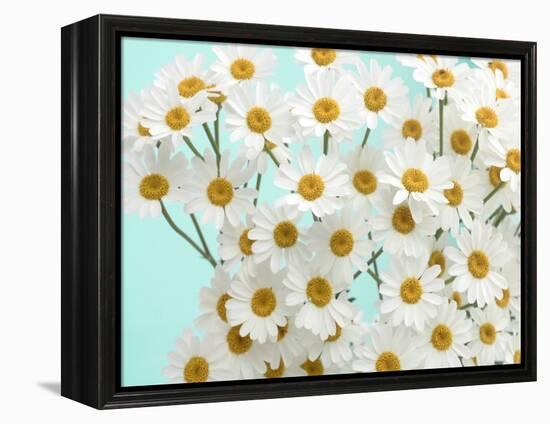 Daisy Love III-Judy Stalus-Framed Premier Image Canvas