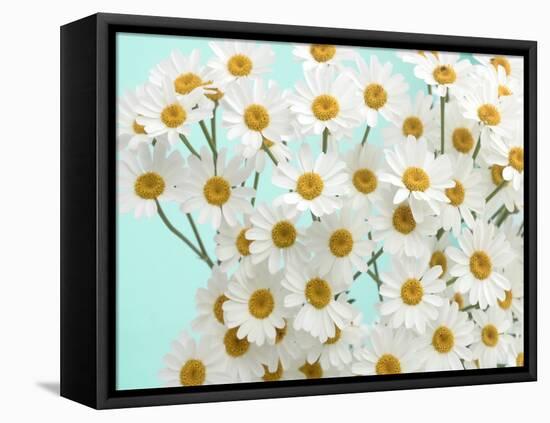 Daisy Love III-Judy Stalus-Framed Premier Image Canvas