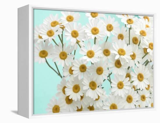 Daisy Love III-Judy Stalus-Framed Premier Image Canvas