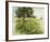 Daisy Meadow-Stephen Pearson-Framed Giclee Print