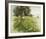 Daisy Meadow-Stephen Pearson-Framed Giclee Print