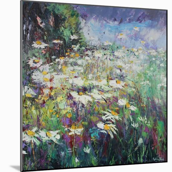 Daisy Meadow-Sylvia Paul-Mounted Giclee Print