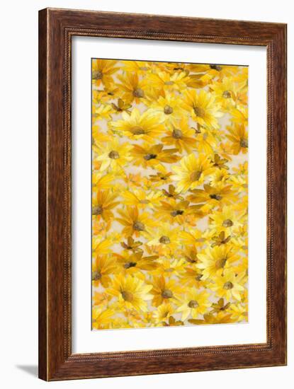 Daisy Pattern-Lanie Loreth-Framed Art Print