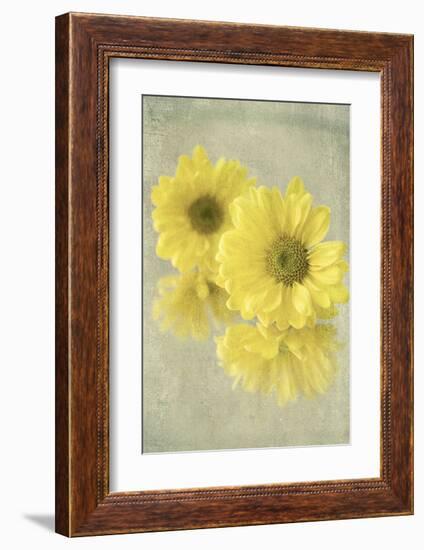 Daisy Reflection I-Judy Stalus-Framed Art Print