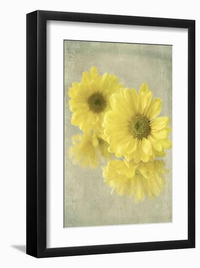 Daisy Reflection I-Judy Stalus-Framed Art Print