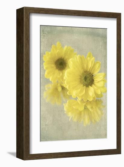 Daisy Reflection I-Judy Stalus-Framed Art Print