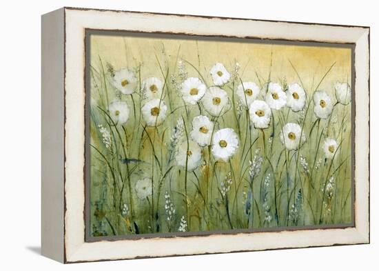 Daisy Spring I-Tim O'toole-Framed Stretched Canvas