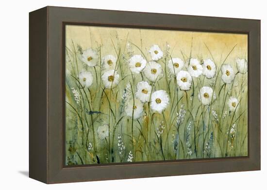 Daisy Spring I-Tim O'toole-Framed Stretched Canvas