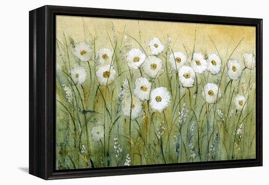 Daisy Spring I-Tim O'toole-Framed Stretched Canvas