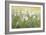 Daisy Spring I-Tim O'toole-Framed Premium Giclee Print