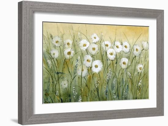 Daisy Spring I-Tim O'toole-Framed Art Print