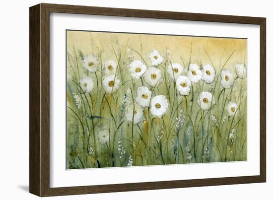 Daisy Spring I-Tim O'toole-Framed Art Print