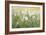 Daisy Spring I-Tim O'toole-Framed Art Print