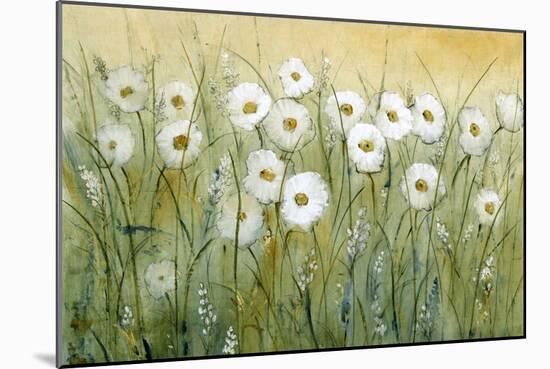 Daisy Spring I-Tim O'toole-Mounted Art Print