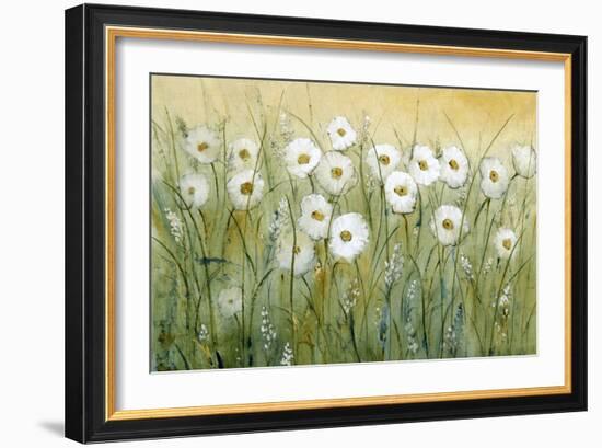 Daisy Spring I-Tim O'toole-Framed Art Print