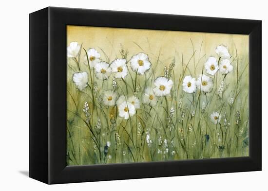 Daisy Spring II-Tim O'toole-Framed Stretched Canvas