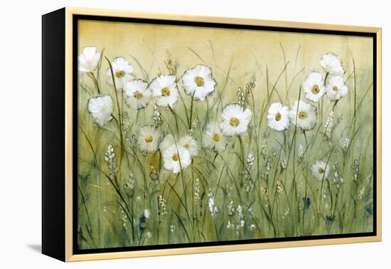 Daisy Spring II-Tim O'toole-Framed Stretched Canvas