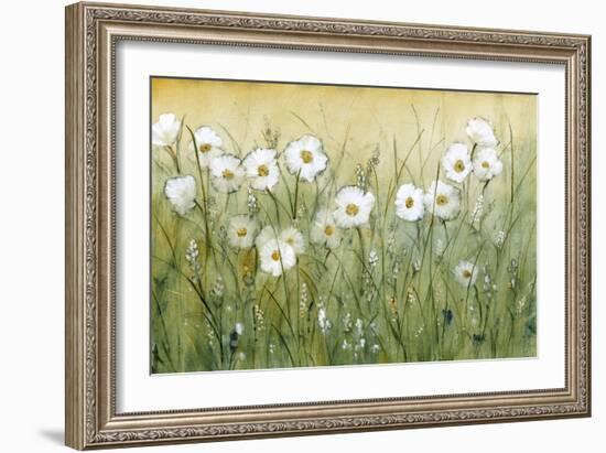 Daisy Spring II-Tim O'toole-Framed Premium Giclee Print