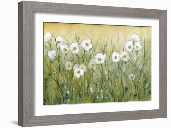 Daisy Spring II-Tim O'toole-Framed Premium Giclee Print