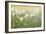 Daisy Spring II-Tim O'toole-Framed Premium Giclee Print