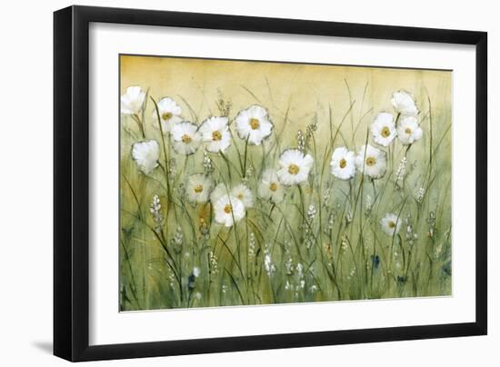 Daisy Spring II-Tim O'toole-Framed Premium Giclee Print