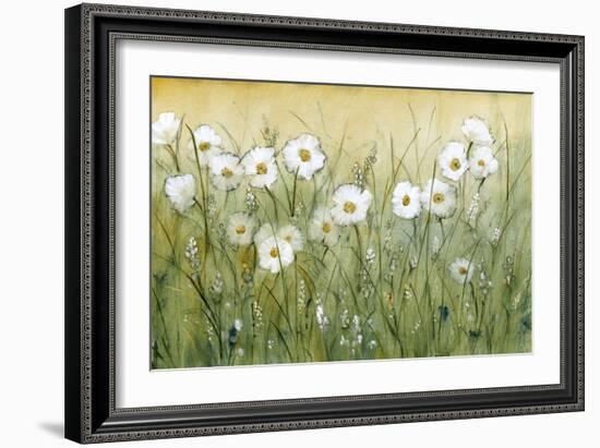 Daisy Spring II-Tim O'toole-Framed Premium Giclee Print