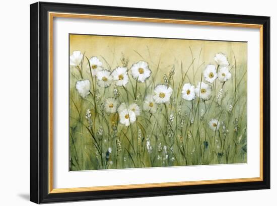 Daisy Spring II-Tim O'toole-Framed Premium Giclee Print