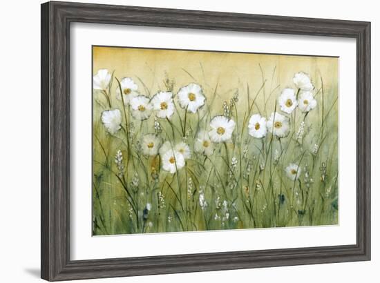 Daisy Spring II-Tim O'toole-Framed Art Print